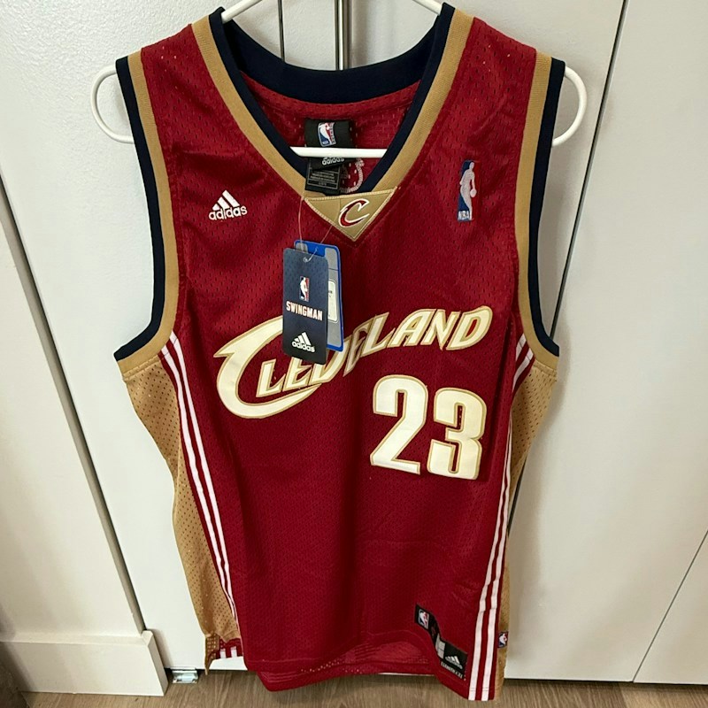 Adidas LeBron James Cleveland Cavaliers Swingman Jersey Wine