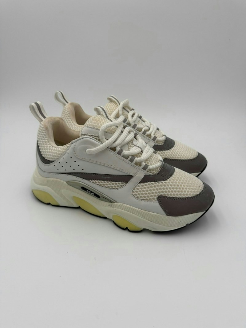 Dior B22 Low Top Runner Sneakers White