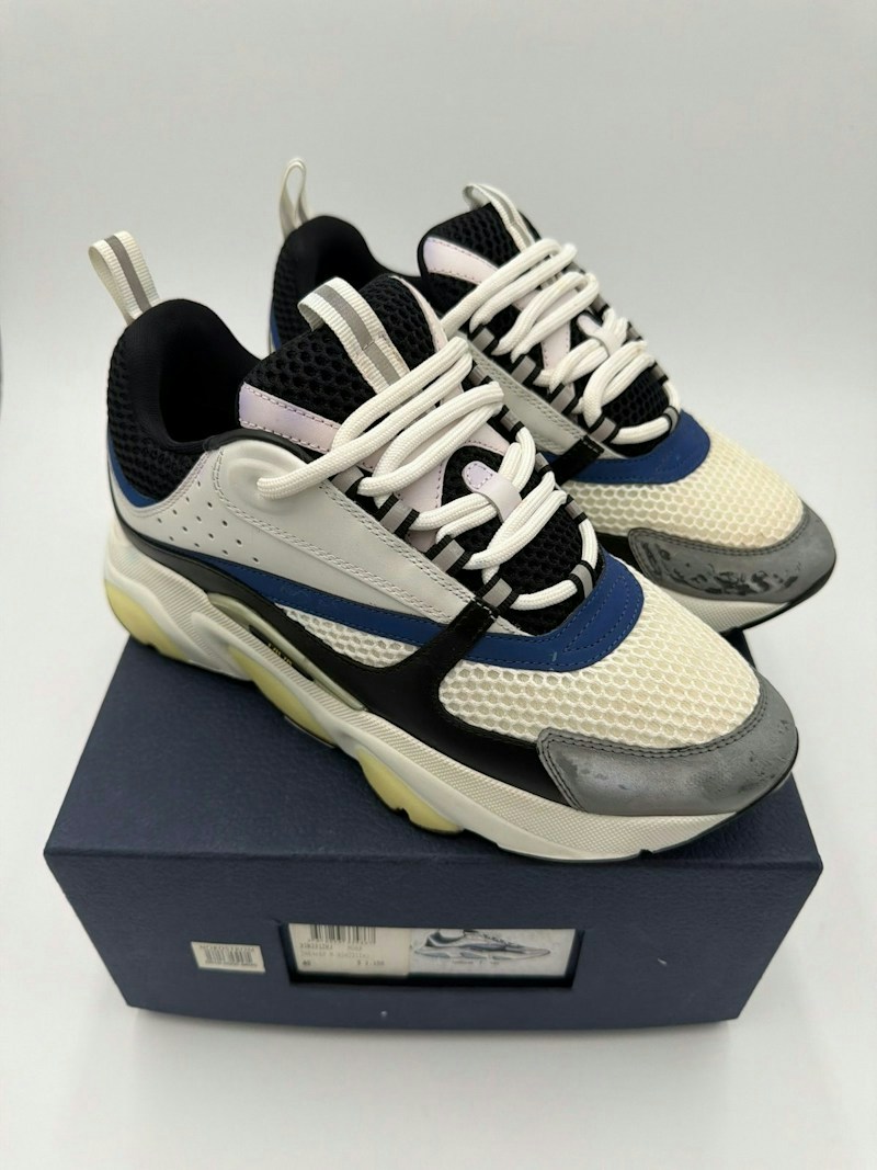 Dior B22 Sneakers White