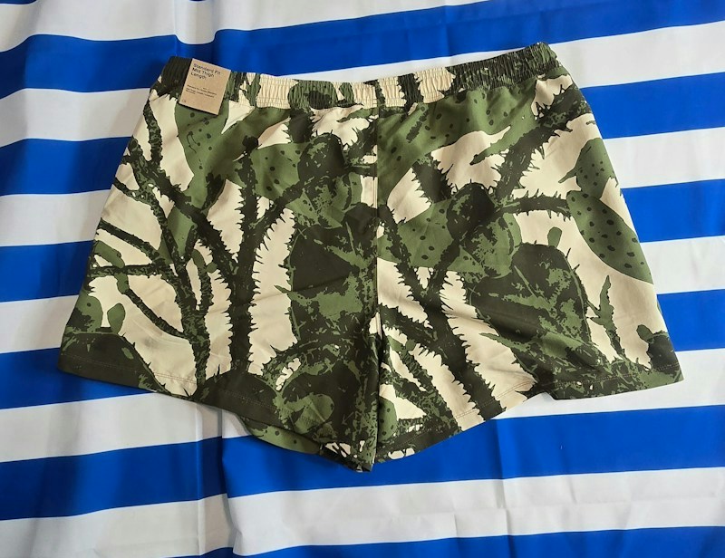 Nike ACG Reservoir Goat shorts cactus print