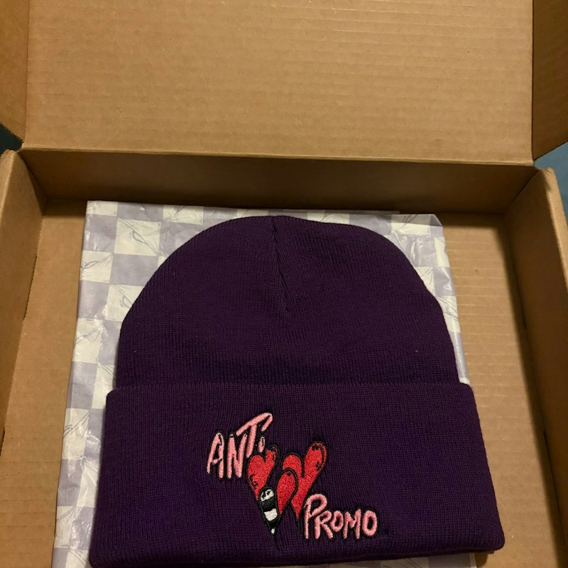 Anti Promo Beanie Hat Purple