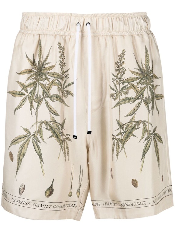 Pre-owned Amiri Botanical Leaves Drawstring Silk Shorts Cream