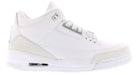 Jordan 3 Retro Silver Anniversary