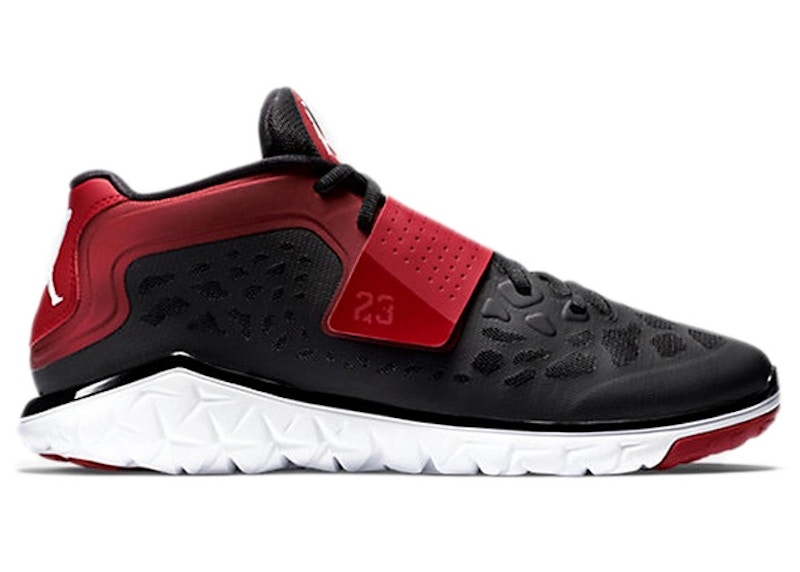 Jordan flight flex trainer 2024 2