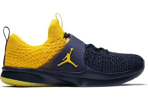 Jordan Trainer 2 Flyknit Michigan Men s 921210 407 US