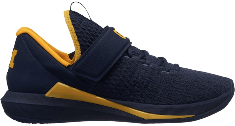 Michigan cheap jordan trainers