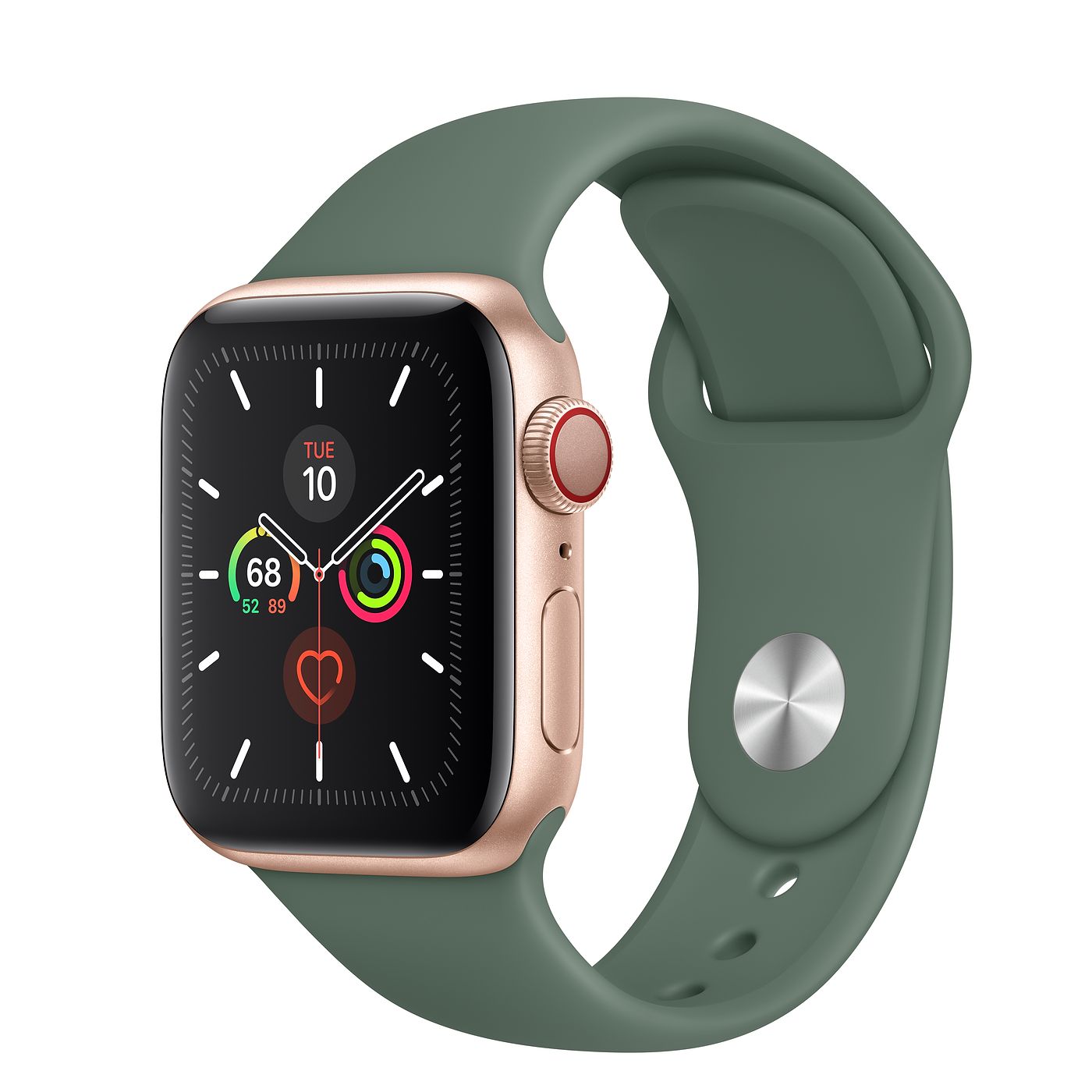 Apple Watch Series 5 GPS + Cellular 40mm Gold Aluminum with Pine ...