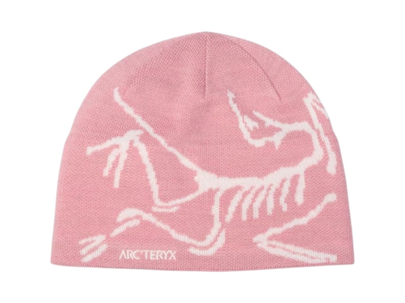 ARC’TERYX バードヘッドトーク bliss / arctic silk Arcteryx-Bird-Head-Toque-