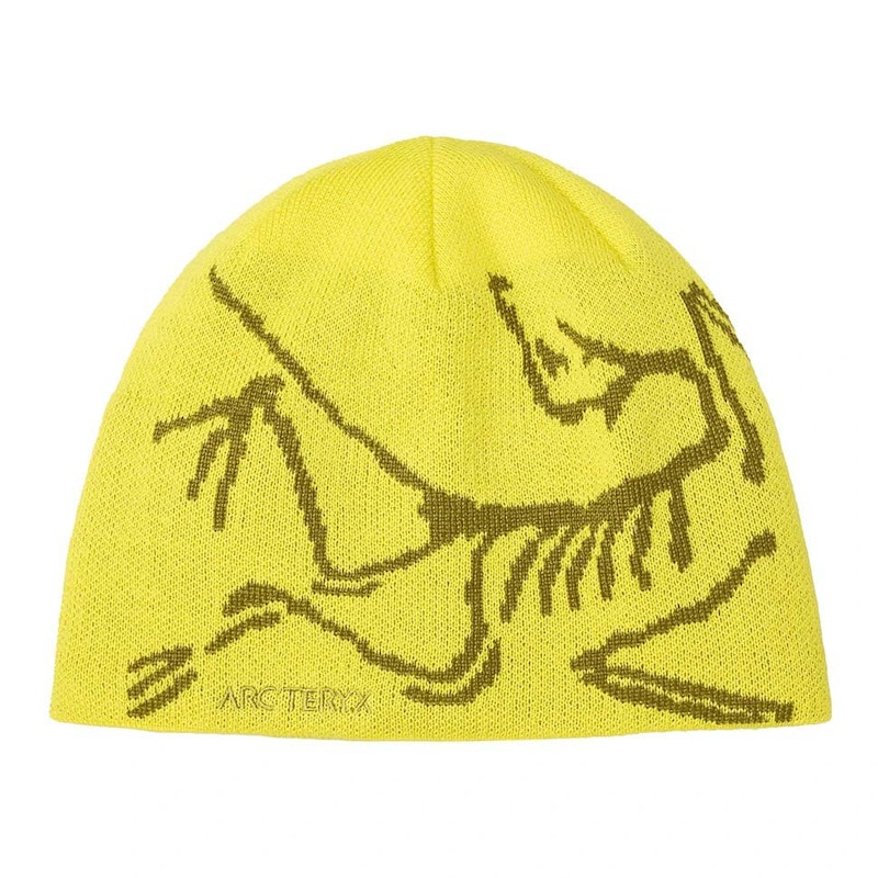 Arc'teryx Bird Head Toque Euphoria/Olive Moss Men's - US