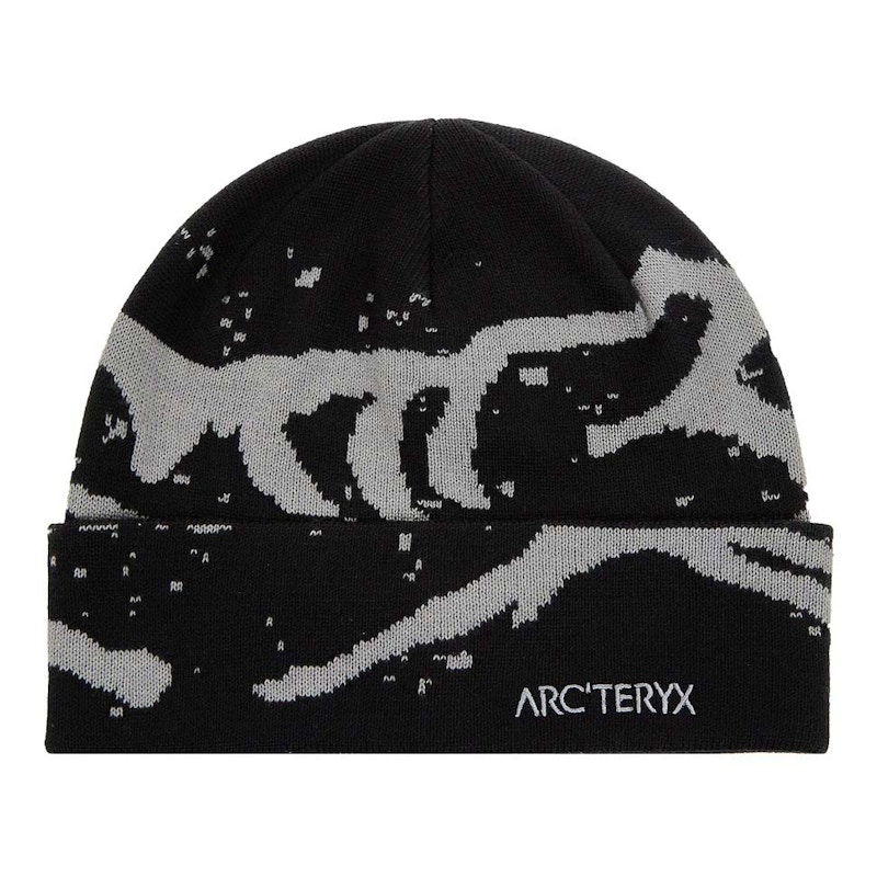 【2023】ARC'TERYX Grotto Toque Relic/Yukon Grotto Toque | Arc'teryx Canada