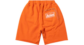 Aries Premium Temple Sweatshort Orange