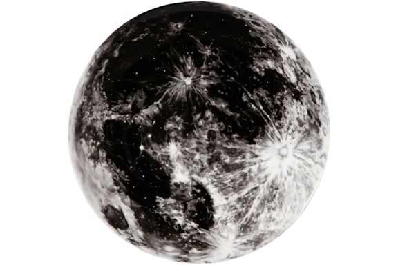 Artist Plate Project x Robert Longo Untitled Plate (Edizione di 250)