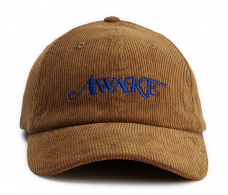 awake dad hat