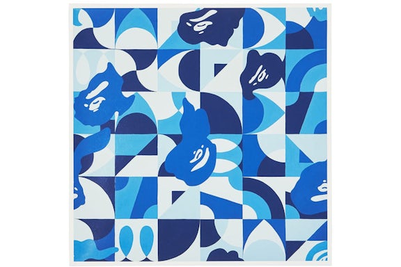 BAPE x Ilizarbe Blu Mimetico By Alvaro Ilizarbe Stampa