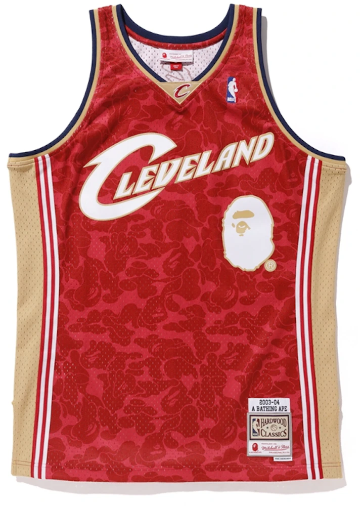 Mitchell & Ness Authentic LeBron James Cleveland Cavaliers 2003-04 Jersey