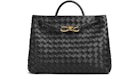 Bottega Veneta Medium Andiamo Black