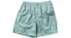 Brownstone Nylon Water Resistant Short Lab Blue