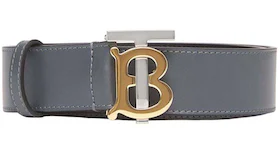 Burberry Belt TB Monogram Grey/Silver/Gold