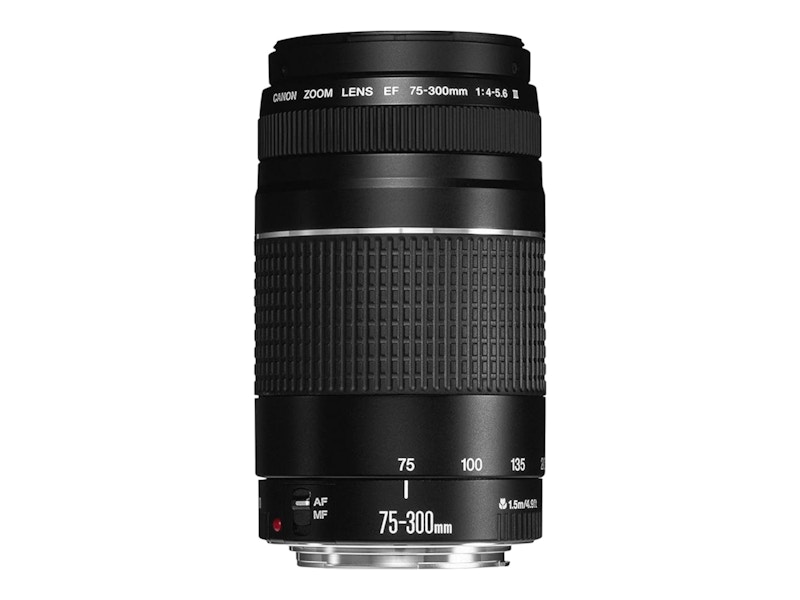 ★訳あり大特価★美品★Canon EF 75-300mm F4-5.6 AF不良 Canon EF 75-300mm F4-5.6 IS USM Lens F. Canon Digital SLR