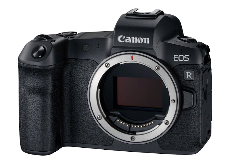 Canon EOS R 30.3MP Mirrorless Full Frame Digital Camera (Body Only) 3075C002