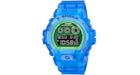 Casio G-Shock DW6900LS-2