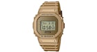 Casio G-Shock DWE-5600HG-1
