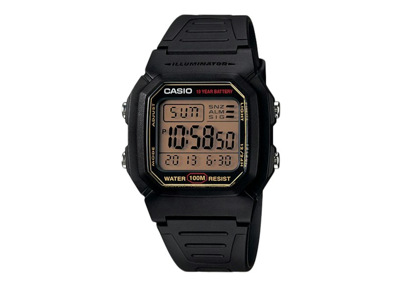 Casio G-Shock W-800HG-9AV