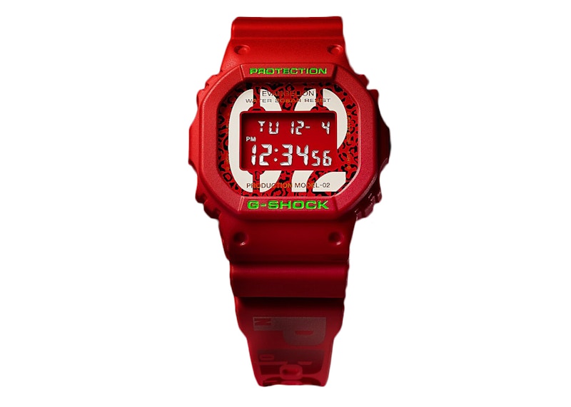 Casio G-Shock DW-5600LS-2