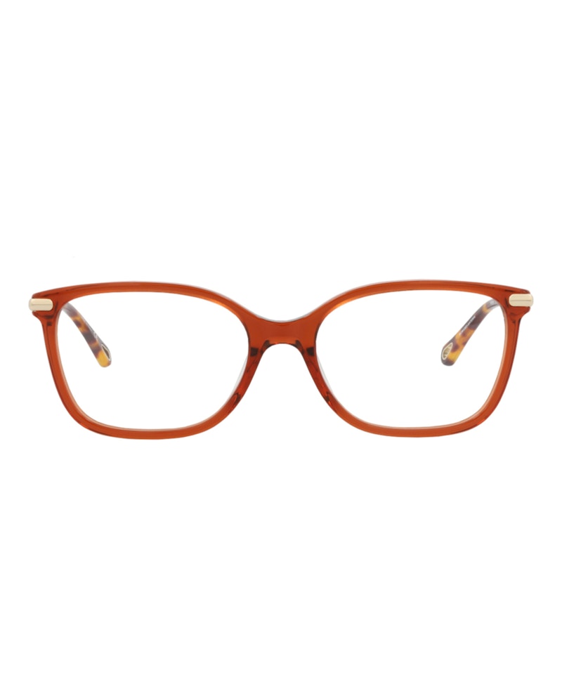 Pre-owned Chloé Women's Chloe Squareframe Bio Acetate Optical Frames In Brown Gold Transparent (ch0059o/30011441/010
