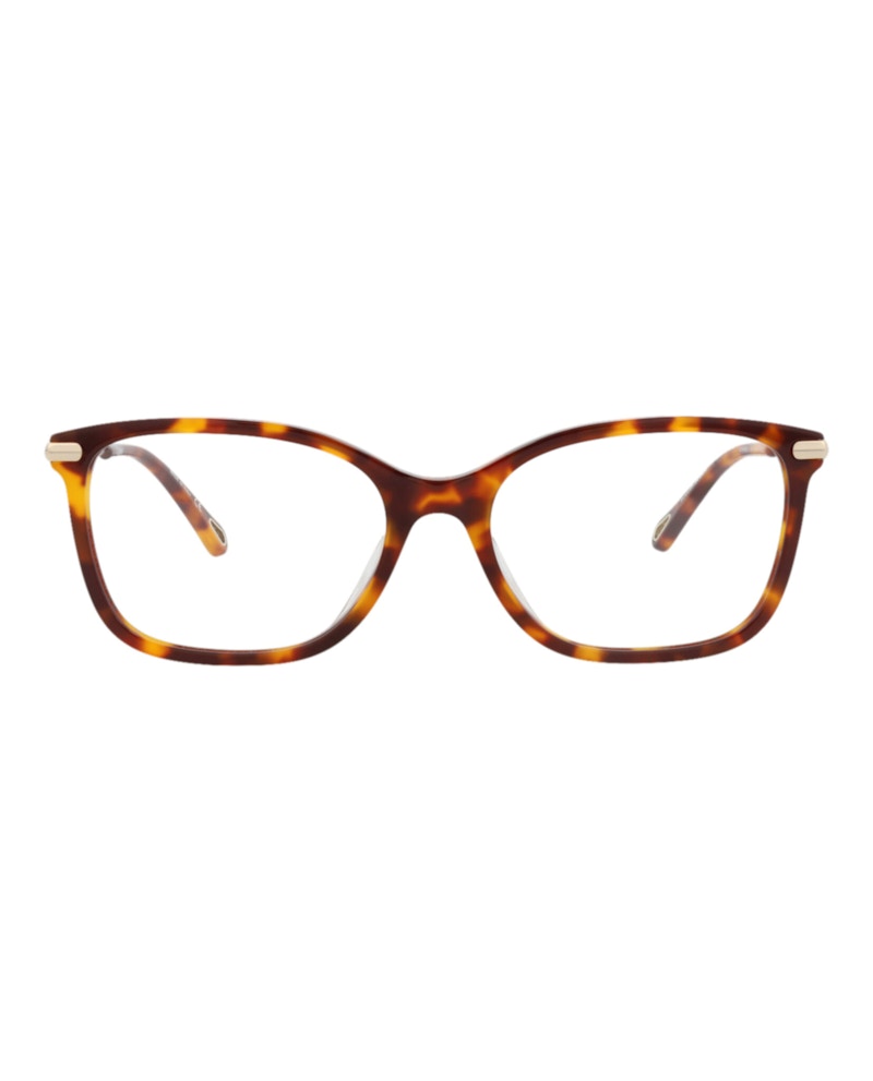 Pre-owned Chloé Women's Chloe Squareframe Bio Acetate Optical Frames In Havana Gold Transparent (ch0059oa/30011515/0