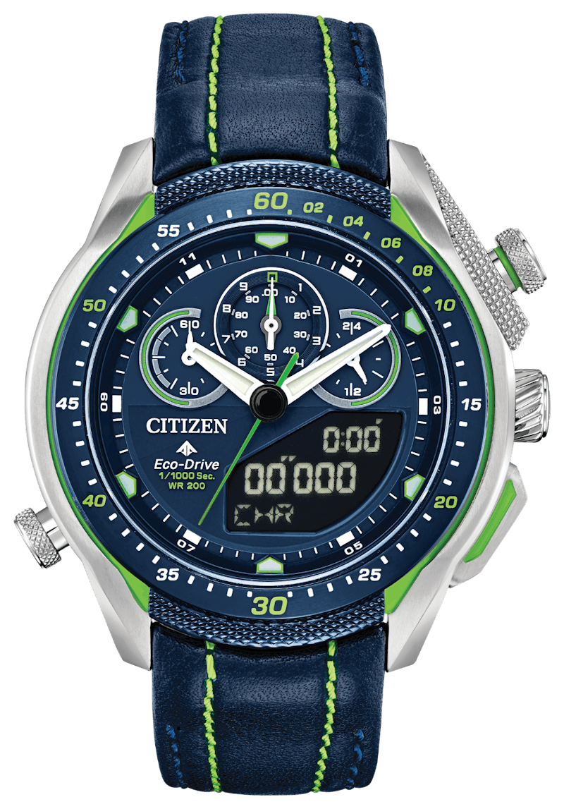 citizen promaster sst