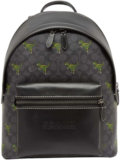 louis-vuitton-back-pack-1-of-1 - Lake Diary