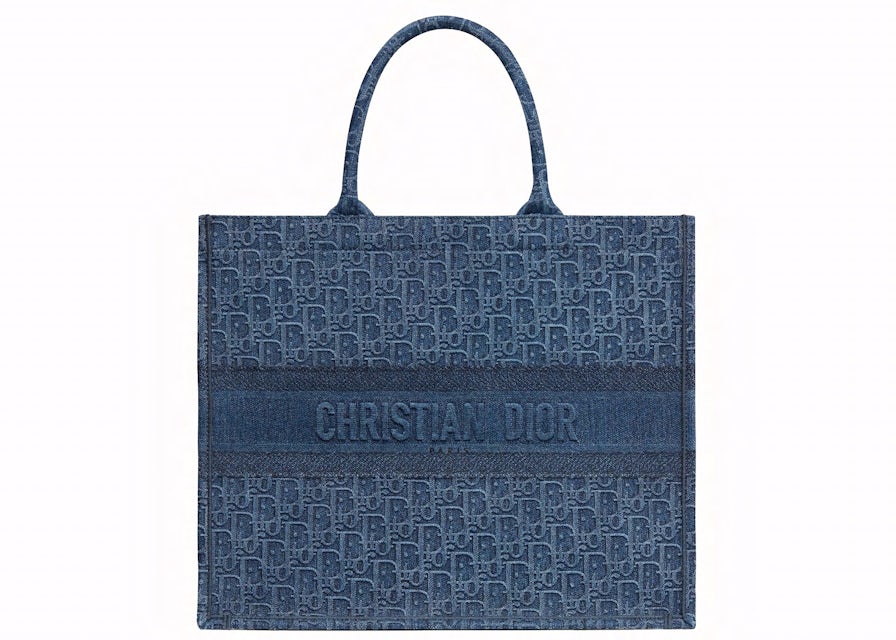 Christian DIOR Book Tote medium light-blue Oblique