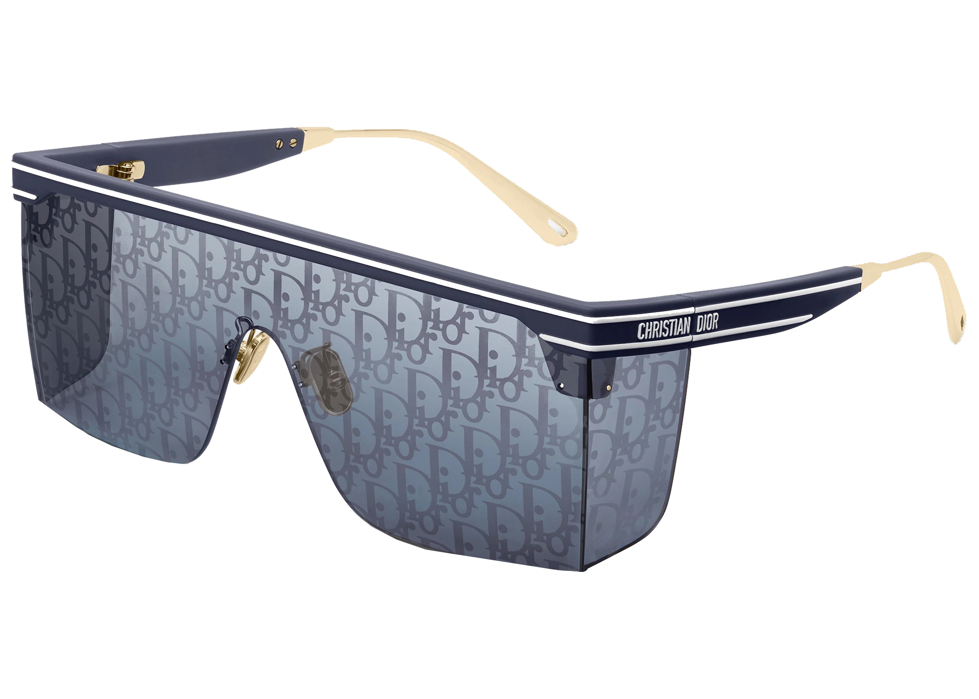 DiorSignature B7I Translucent Blue Butterfly Sunglasses  DIOR FI