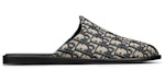Dior Indior Mule Beige Black Dior Oblique Jacquard