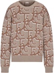 Dior x CACTUS JACK Oversized Sweater Beige/Brown