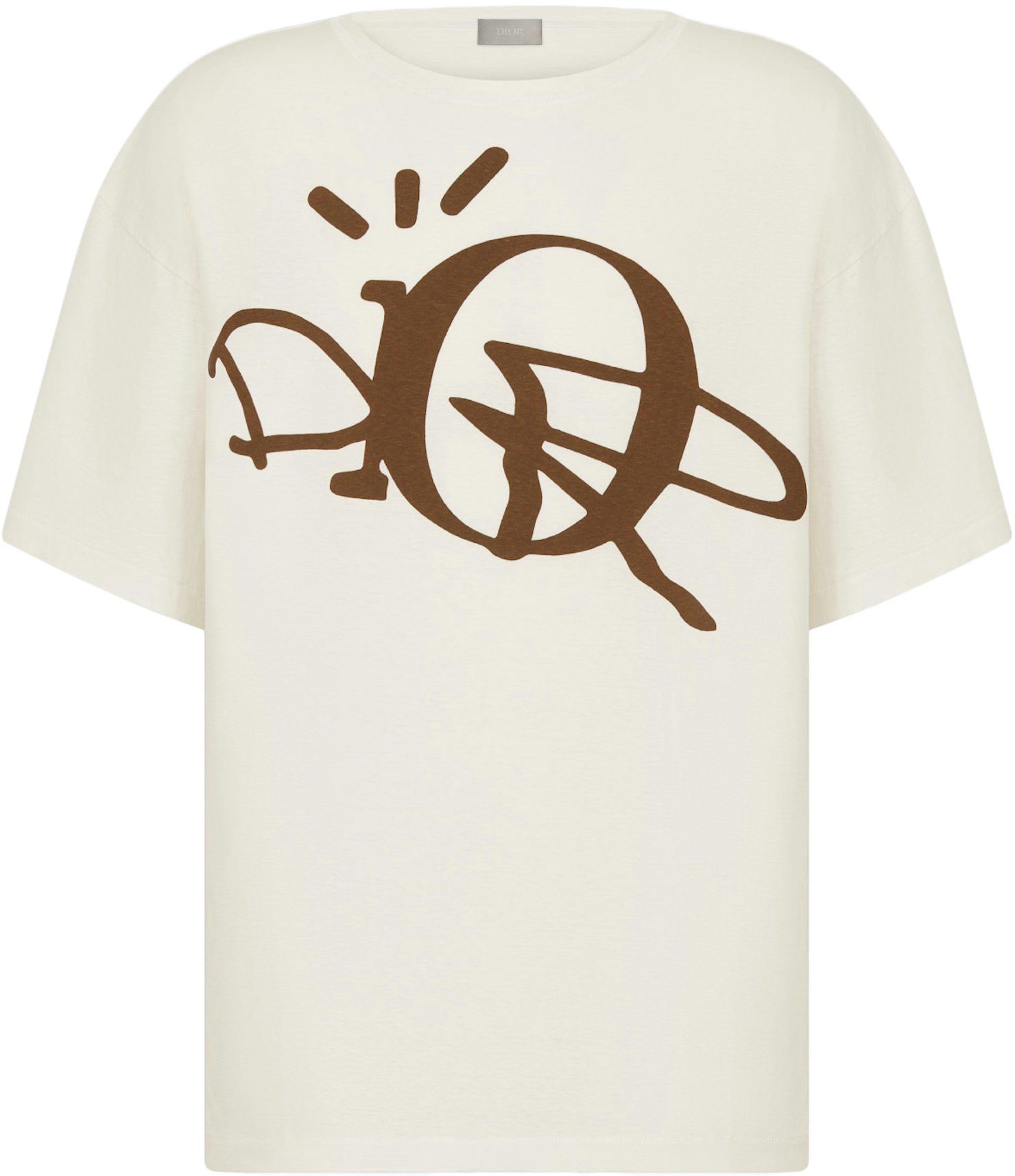 Relaxed-Fit DIOR TEARS T-Shirt Brown Slub Cotton Jersey