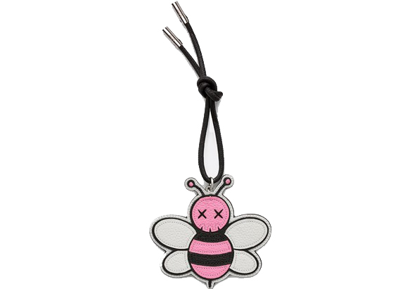 Dior x Kaws Bee Charm Pink in Grained 