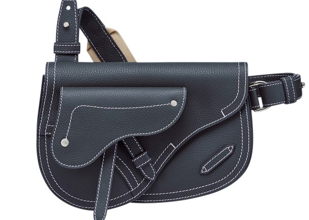 dior x kaws pouch saddle in black
