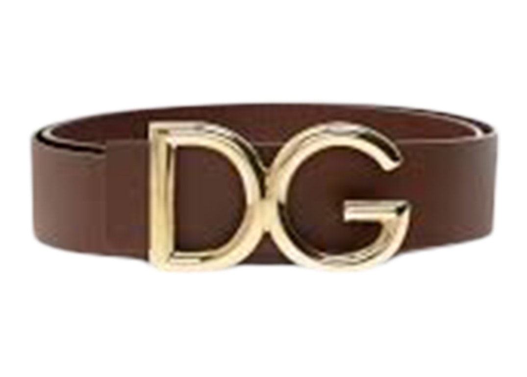 Pre-owned Dolce & Gabbana Logo Plaque Buckle Fastening Belt Brown/gold-tone
