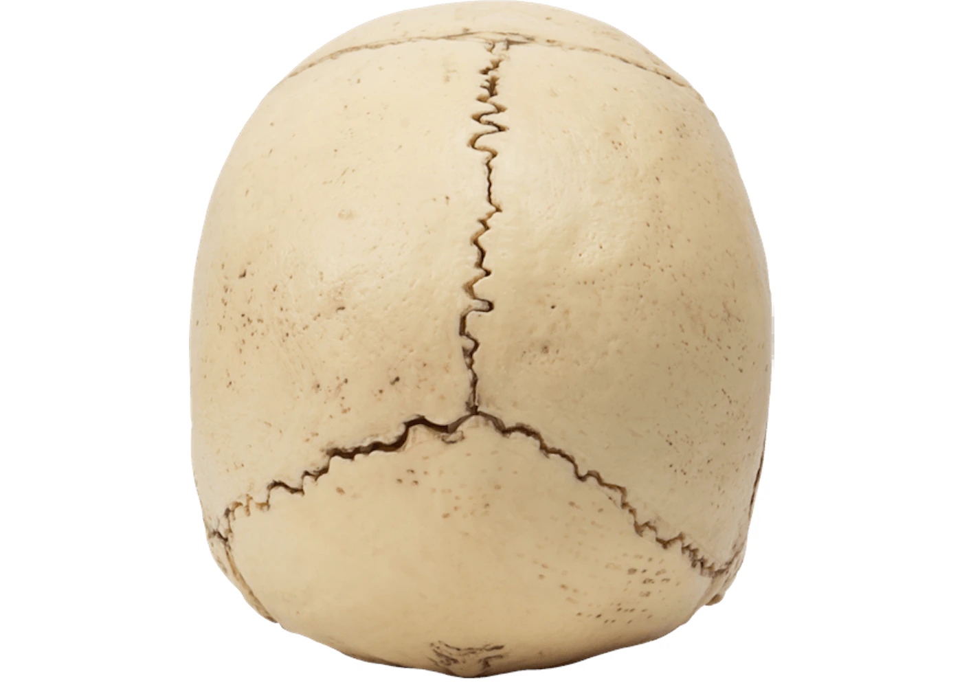 Fame Master Mighty Jaxx Human Anatomy Exploded Skull Figure - US