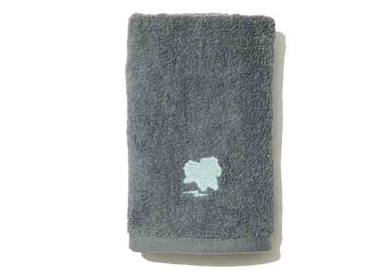 Fragment x Pokemon Thunderbolt Project Bulbasaur Face Towel
