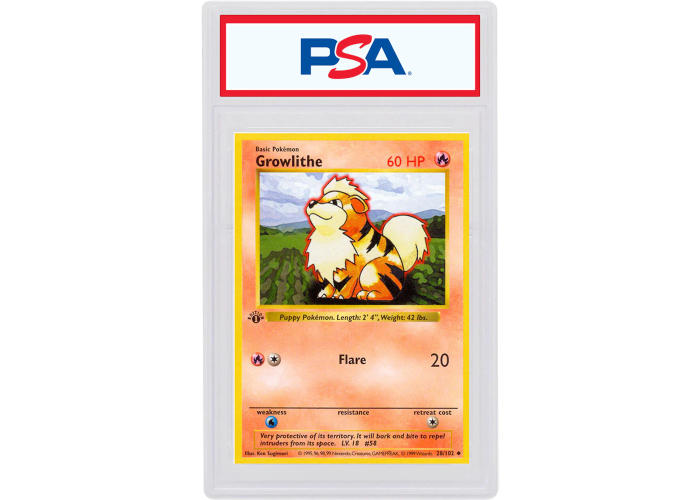 Growlithe 1999 Pokemon TCG Base Set 1st Edition #28/102 (PSA or BGS Graded) - 1999 - US Growlithe 1999 Pokemon TCG Base Set 1st Edition #28/102 (PSA or BGS Graded) - 1999 - US