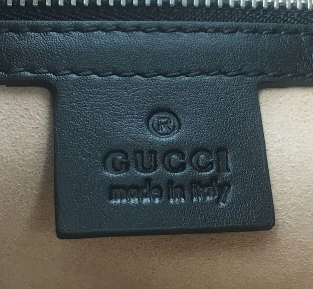 Gucci Dionysus Apollo Hobo Embroidered (With Web Strap) Black in ...