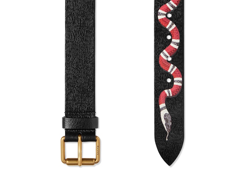 Gucci belt sales kingsnake