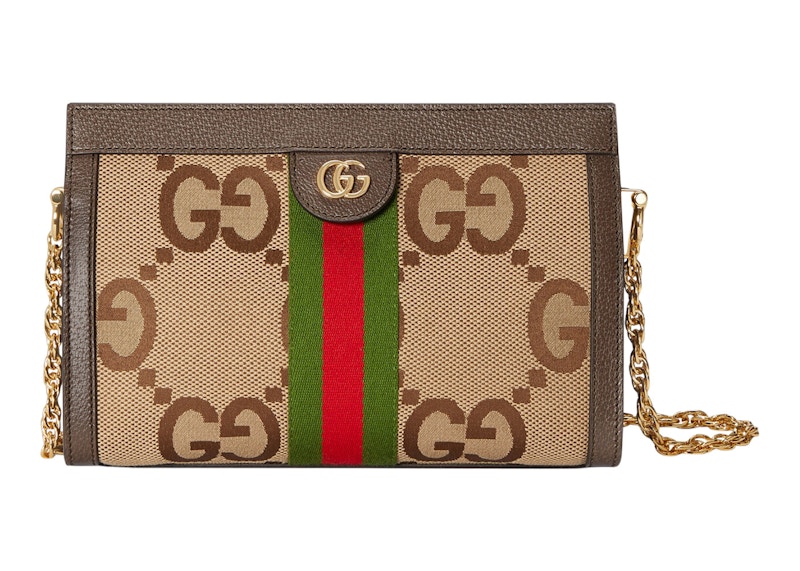 Gucci ophidia shop chain bag