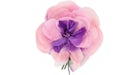 Gucci Silk Flower Brooch Pink