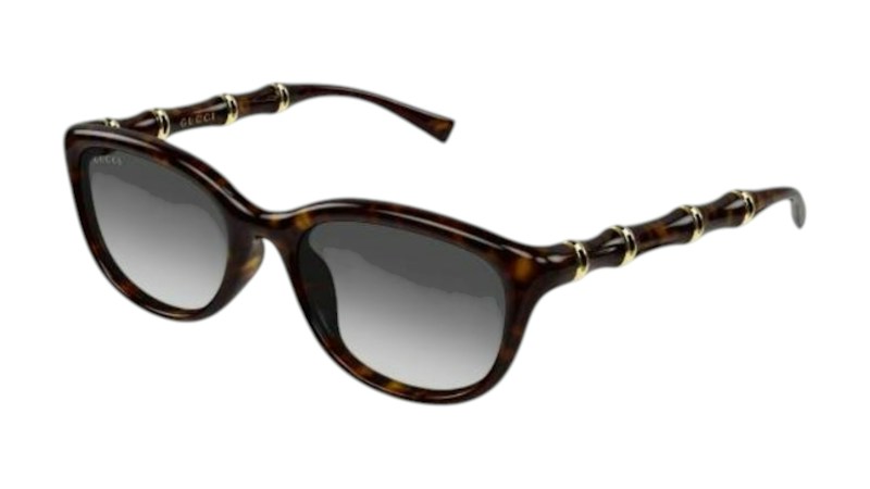Gucci Women's Rectangular-Frame Injection (GG2062SA) Sunglasses Multi
