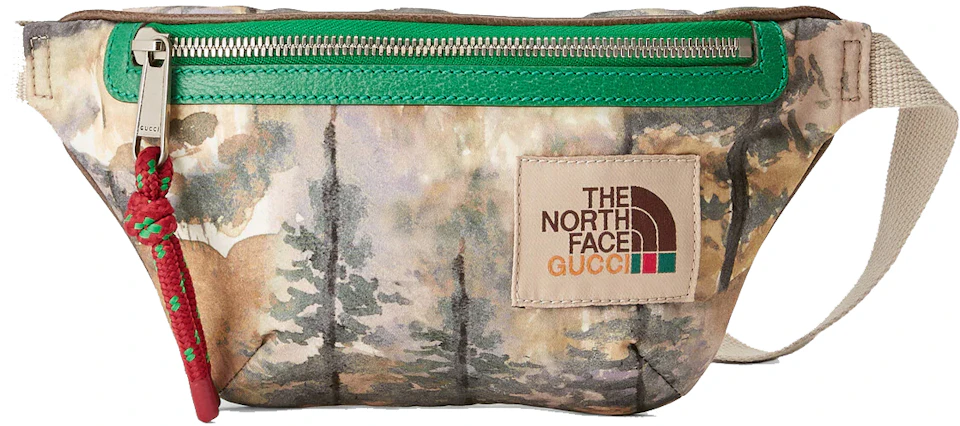 Gucci x The North Face Belt Bag Multicolor in Nylon with Silver-tone - US