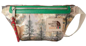 Gucci x The North Face Belt Bag Multicolor